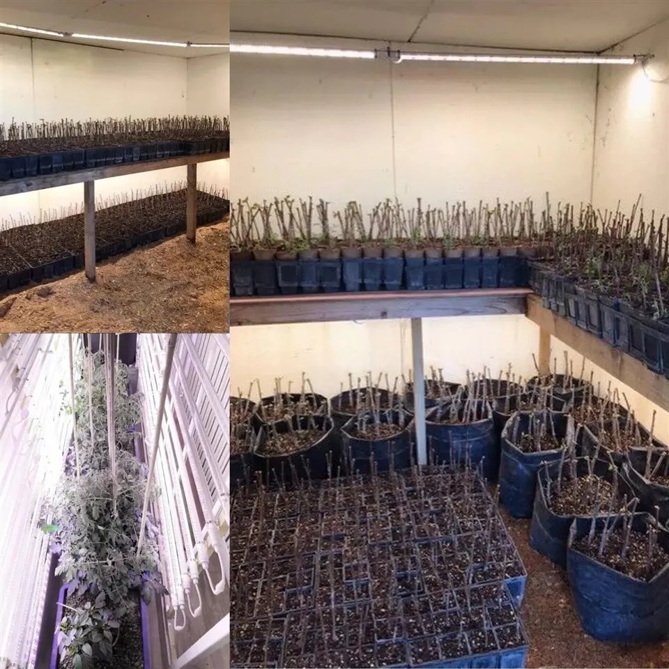 grow light tube bulbs 5(001)