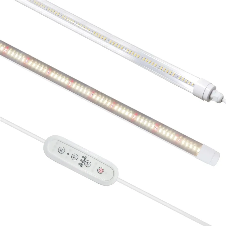 Kasvatage kergeid torusibulaid