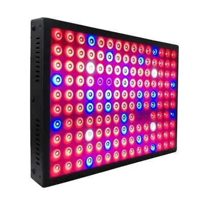 LED -taime kasvab kerge paneeli